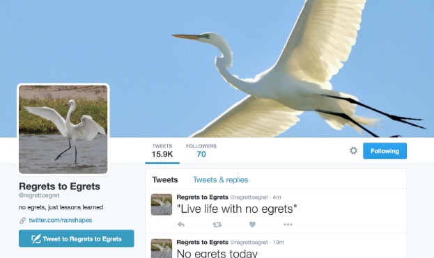 Screenshot of Regrets to Egrets twitter account page; picture of flying egret with profile description 'no egrets, just lessons learned.' Tweet text 1: 'live life with non egrets', Tweet text 2: 'No egrets today'.
