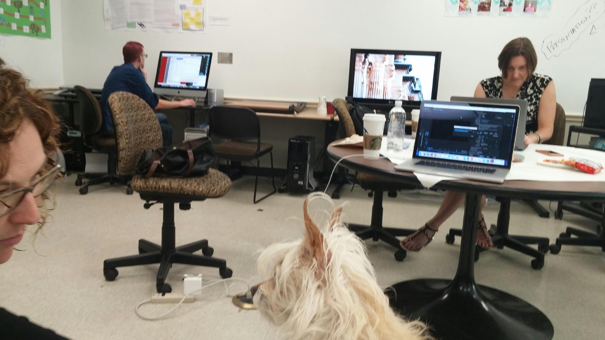 in the foreground is a portion of Erica's face looking at Charlie, a small white dog; in the background is Sarah working on a laptop at a circular table and Michael working on an iMac with his back facing the camera.