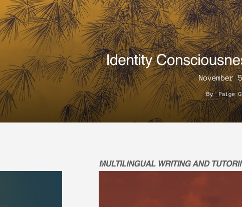 screenshot of DePaul University Writing Center Blog site