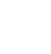 a white skull