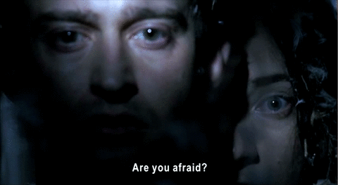 An animated gif from Night Watch featuring a subtitle that blinks at the same time a character, who had just transformed from owl to woman, blinks her eyes: 'Are you afraid?'