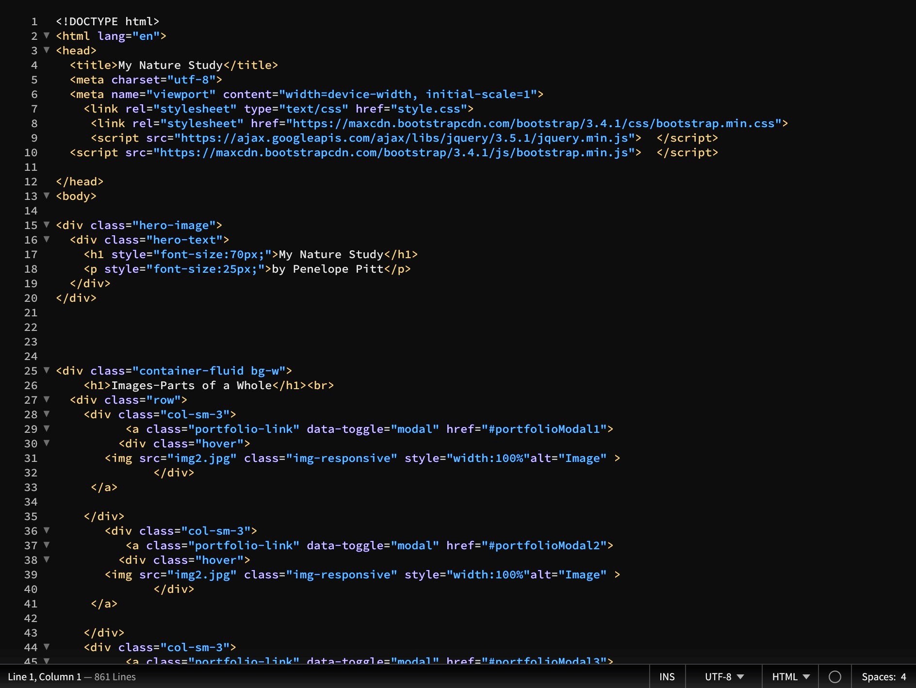 screenshot of HTML code