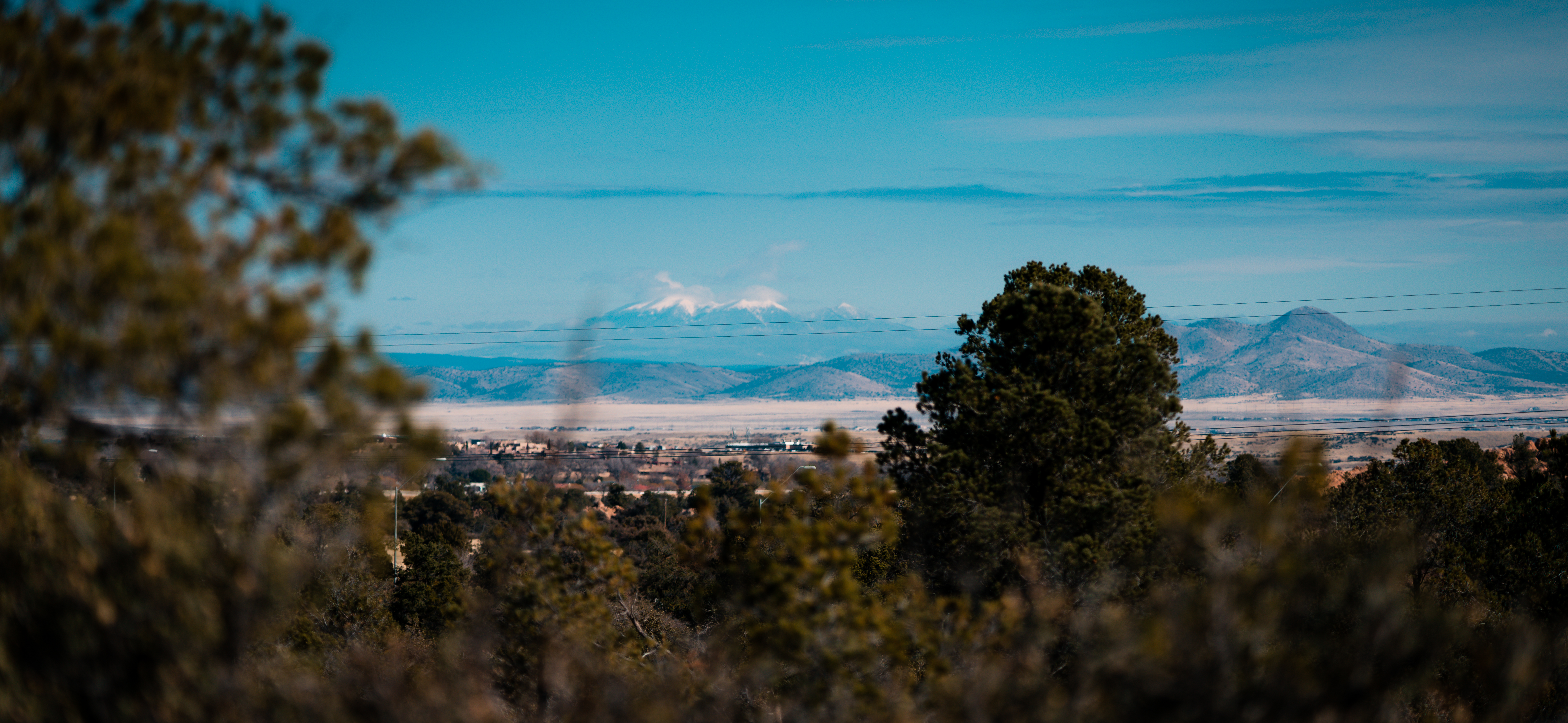 landscape photo through the pine forests around ERAU-Prescott's campus, with the San Fransisco peaks far in the background.