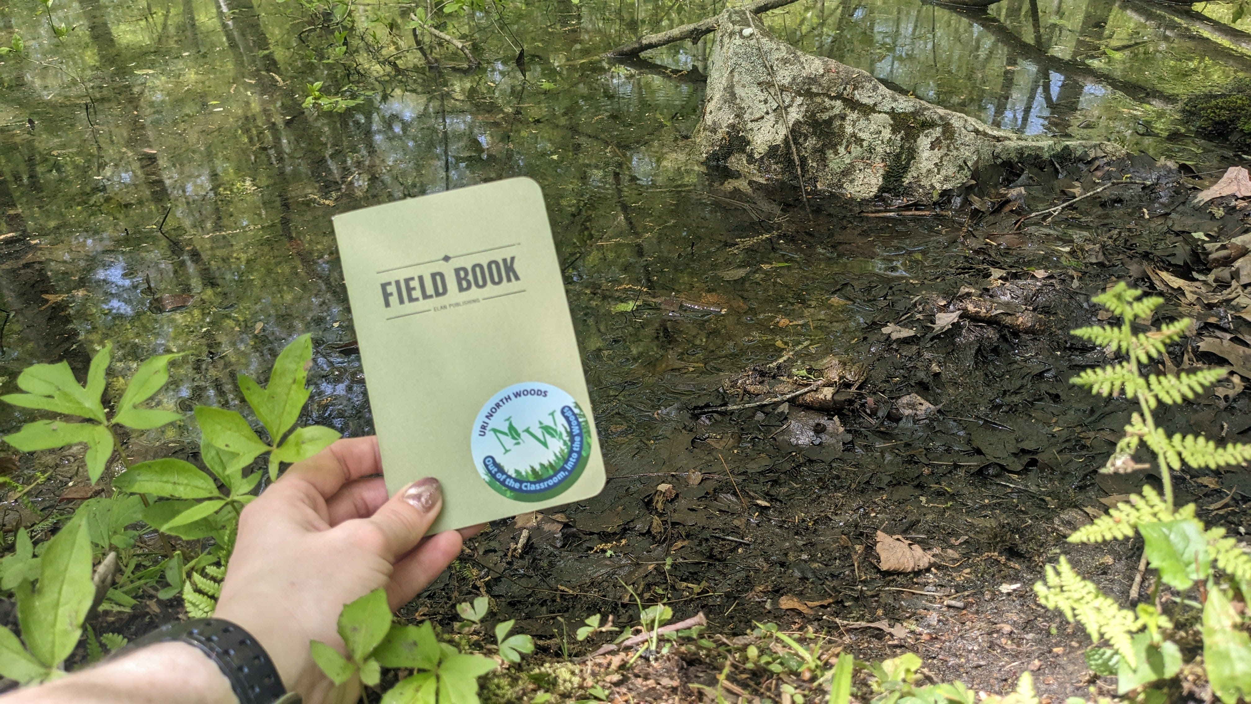 A field notes book behind held up against a backdrop of forest floor.