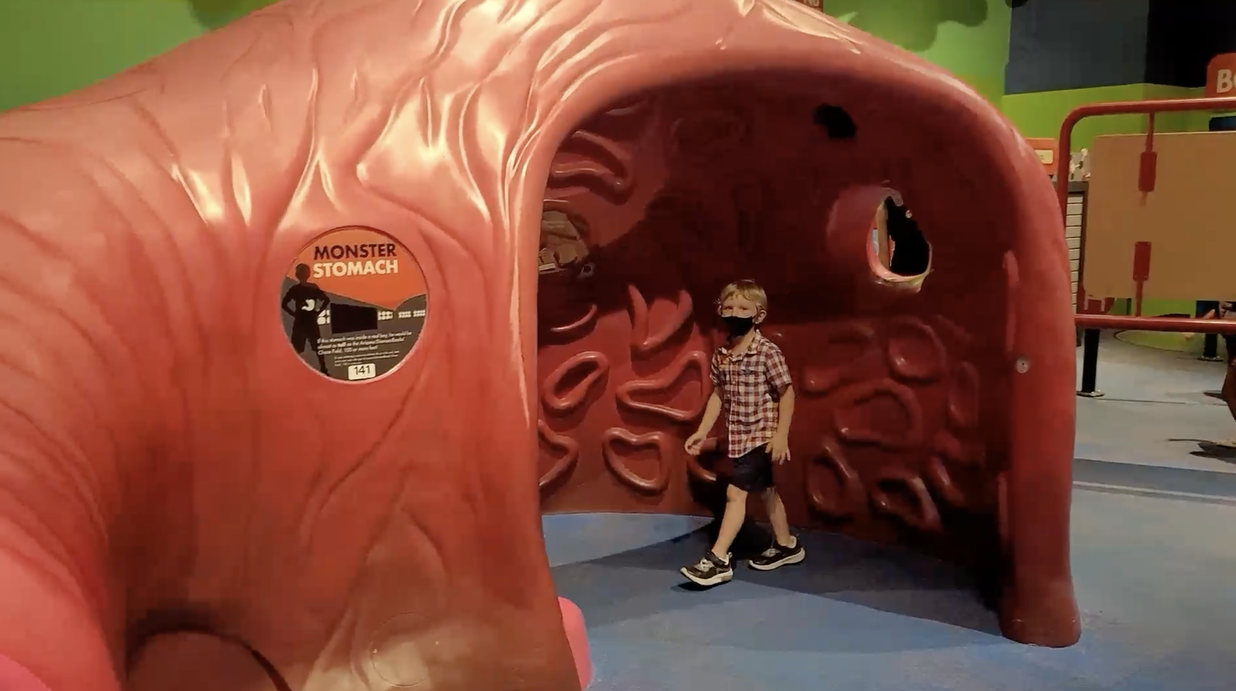The Arizona Science Center featuring an interactive digestive system exhibit. A blond-haired child is inside a giant red model of a stomach, complete with rippled, fleshy walls.