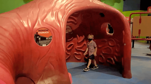 An large-scale interactive digestive system exhibit with a child inside.