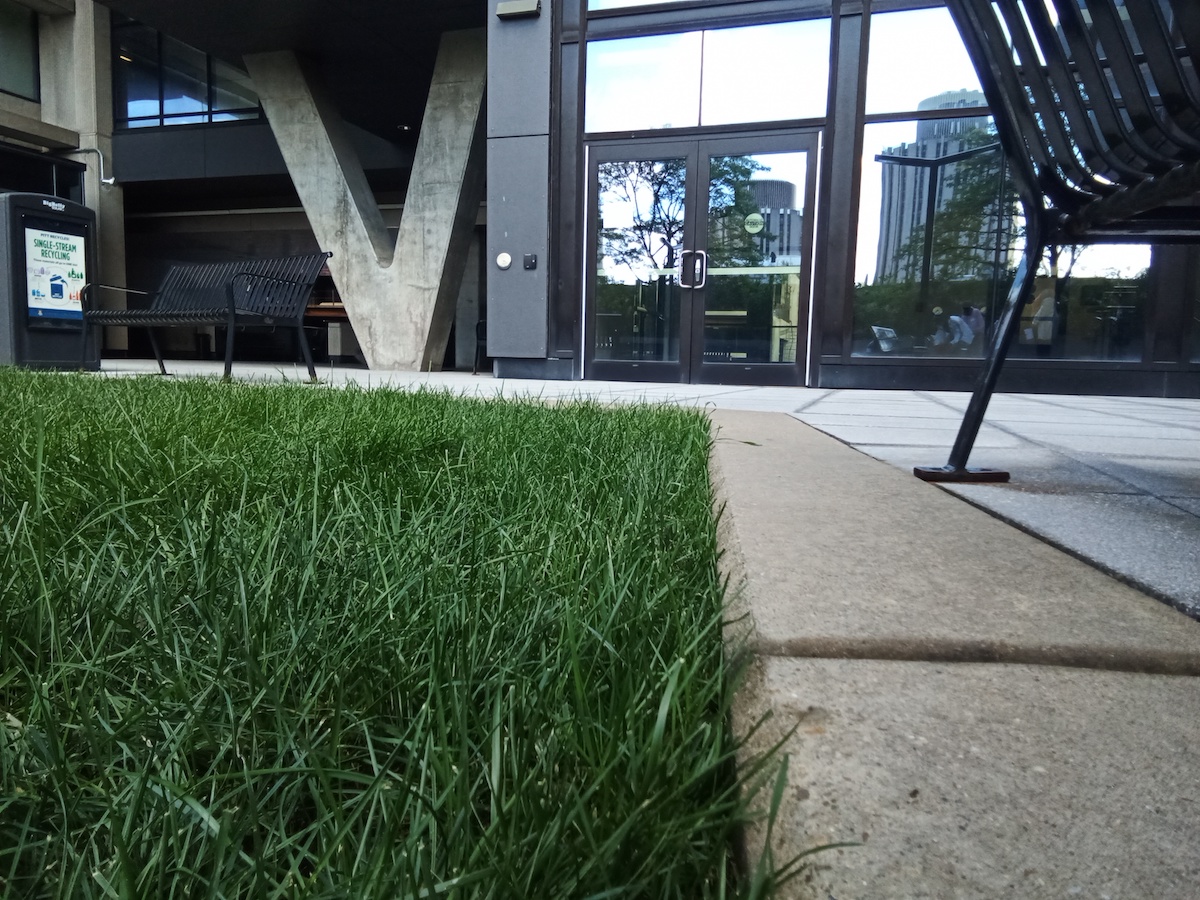 Rooftop lawn provides student leisure.