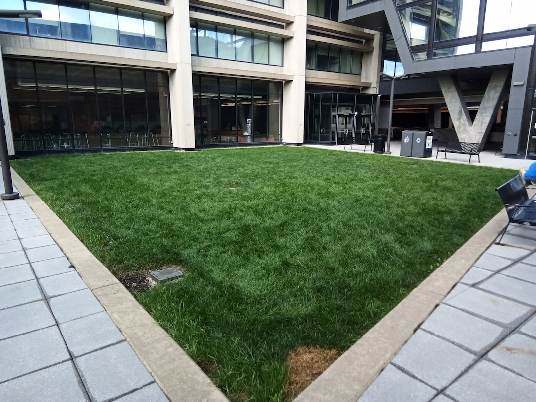 A green roof offering a grass lawn for student leisure.