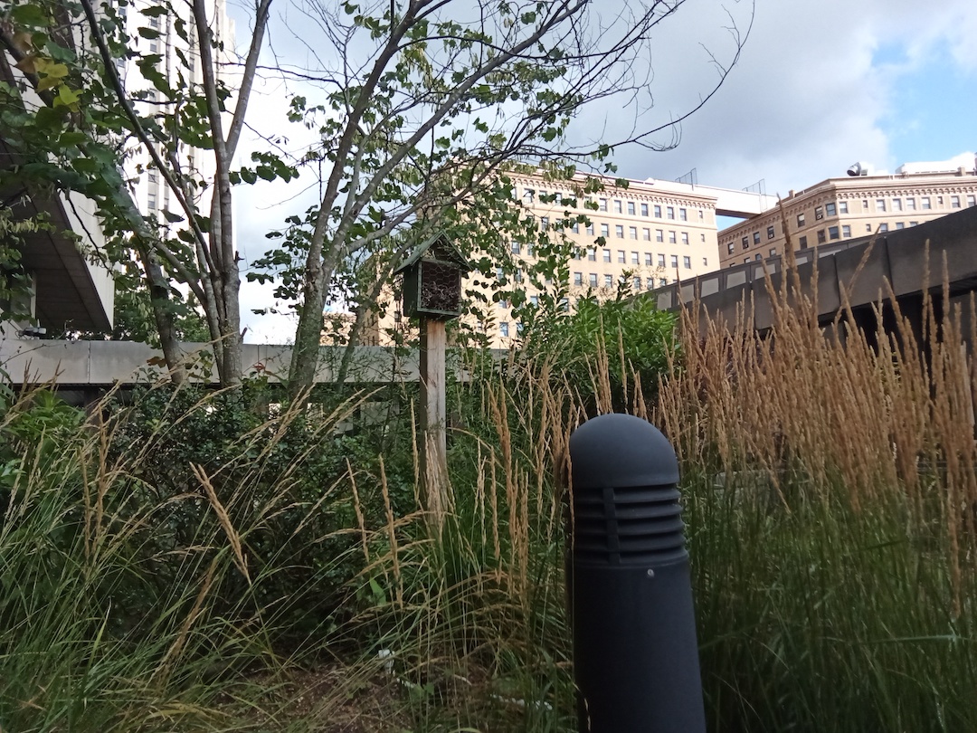 A rooftop pollinator garden overlooked by a bee house resting on a tall post.