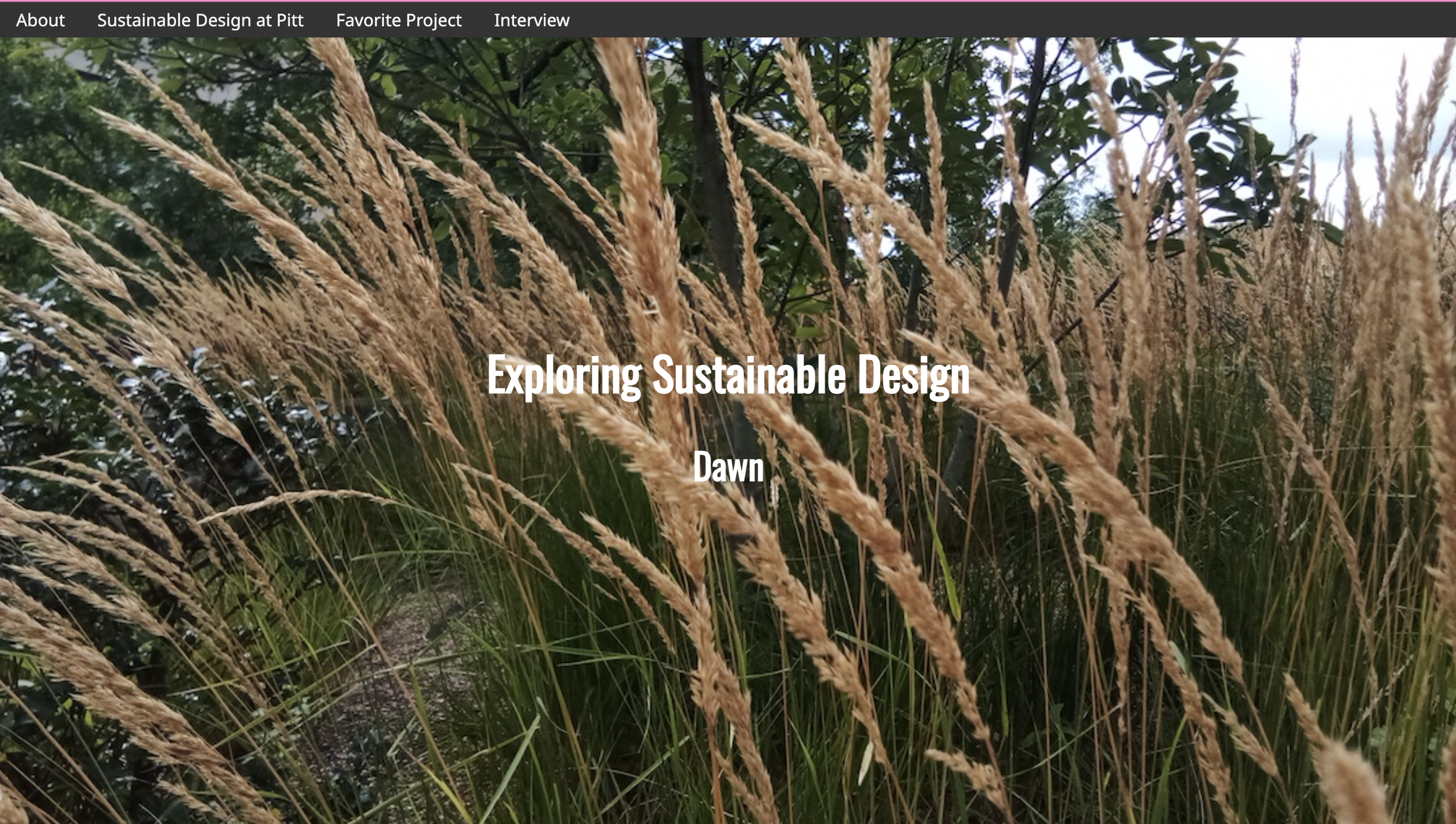 screenshot of Dawn's website, featuring close-up of grains and grasses