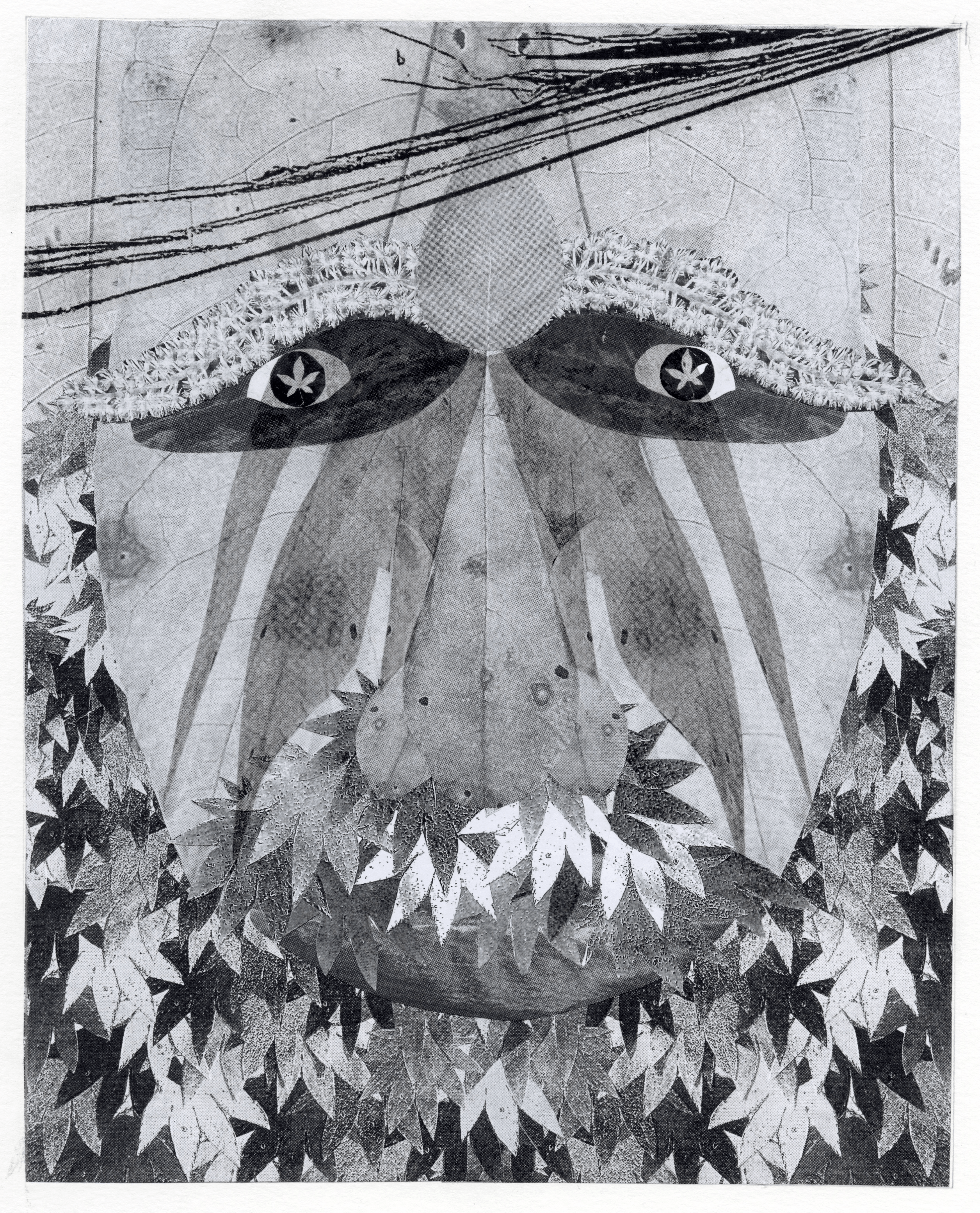 An abstract monochromatic print resembling a face, constructed from various leaves and botanical elements.