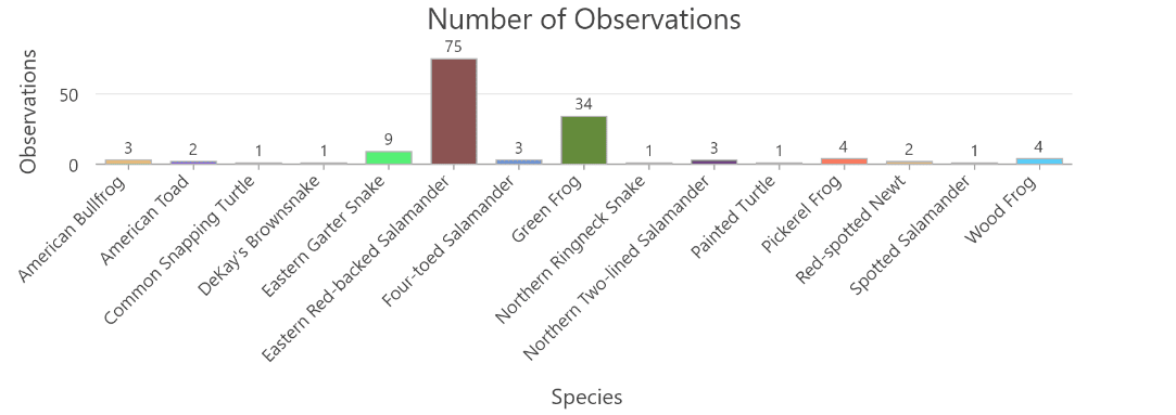 A bar chart displaying the count of observations by species.