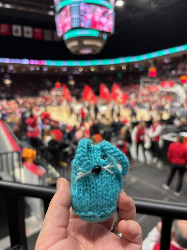 A small blue knit bunny sits in Hannah's hand. In the background is a blurry OSU basketball game with flag-holders on the court and a jumbotron.