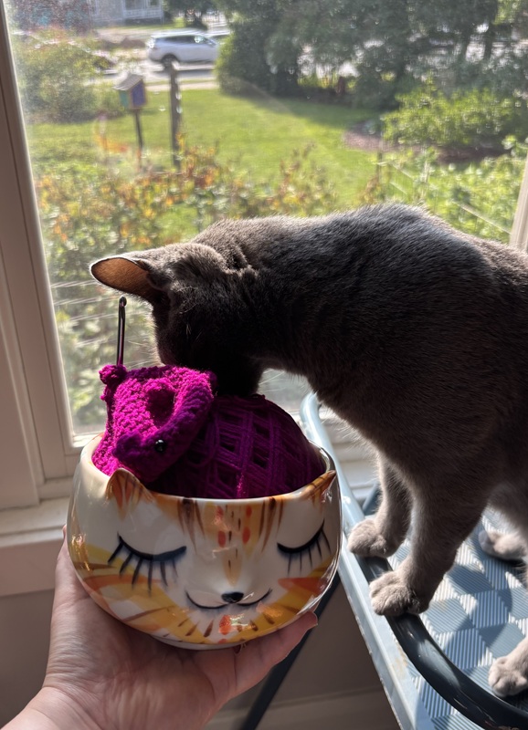 A large fluffy brown cat naps on a couch while three crochet opossums watch.