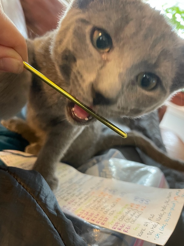 A small gray cat opens its mouth to bite down on a green crochet hook.