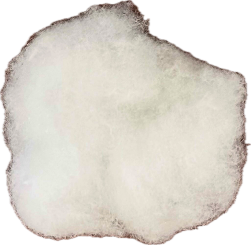 A clump of white fiberfill stuffing.
