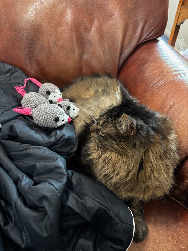 A large fluffy brown cat naps on a couch while three crochet opossums watch.