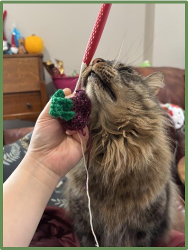 A hand holds an in-progress project while a brown, long-haired cat rubs his face on the handle of the crochet hook.