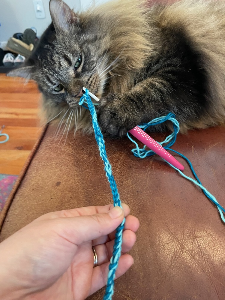 A large fluffy brown cat holds a white and pink crochet hook attached to a long blue crochet chain between his front two paws.