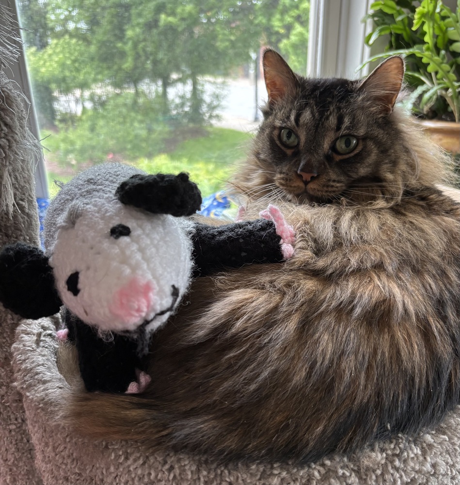 Crocheted Opossum with fluffy cat.