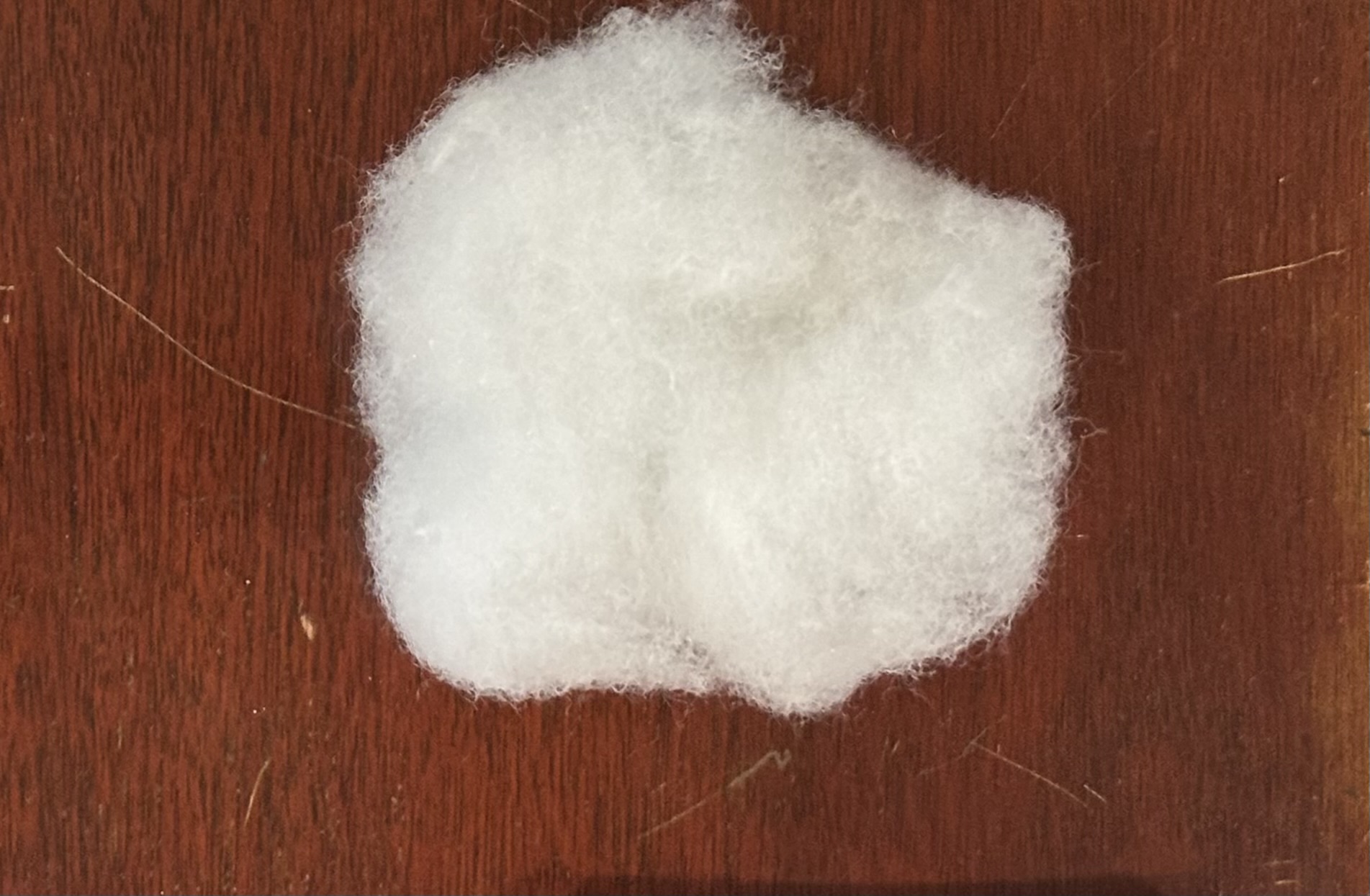 The blue knitted bunny Conference Creatures mascot, CC, standing to the left of a fanned-out pile of CC stickers that say @conference.creatures underneath her image.